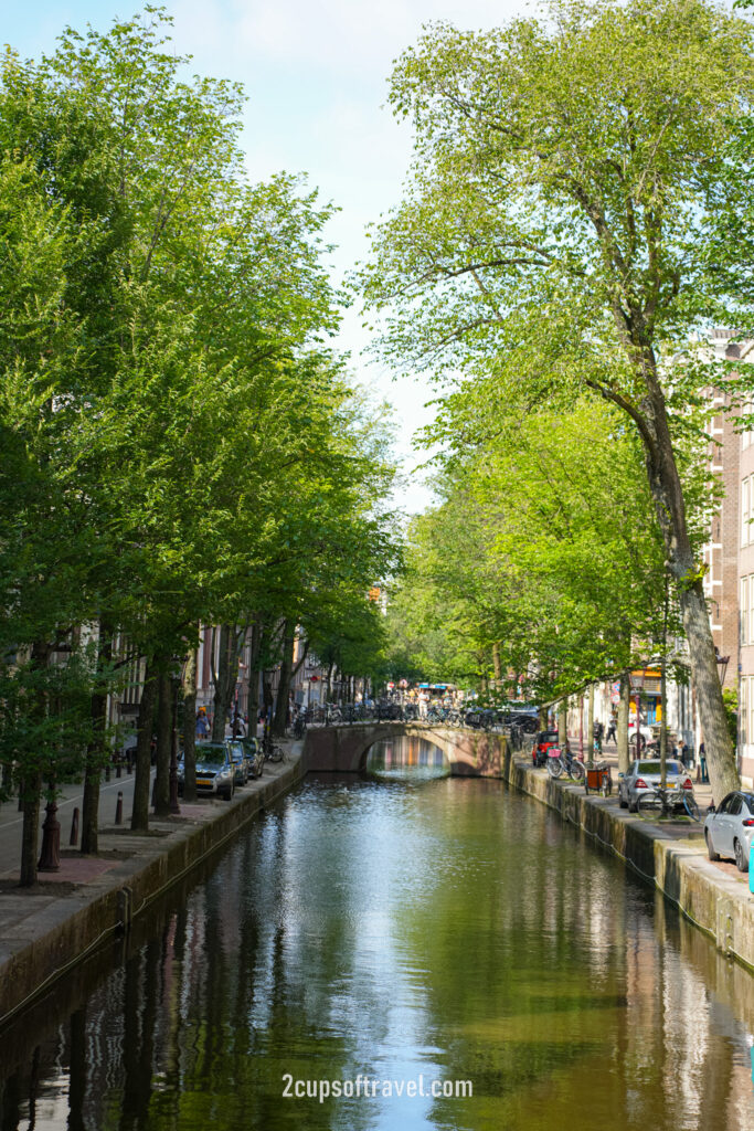 should i visit amsterdam things to do guide what to know