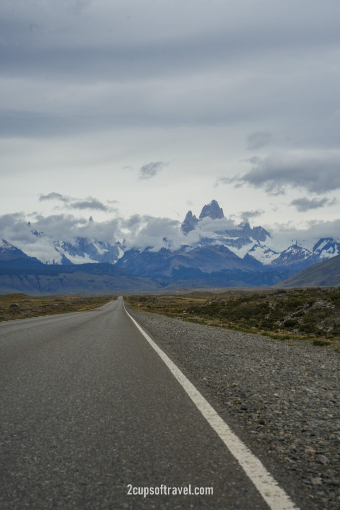 guanaco driving ruta 40 and ruta 23 argentina el chalten patagonia mirador fitzroy hotel la leona