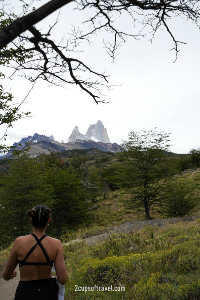 should i do laguna torre hike things to know guide el chalten half day hike