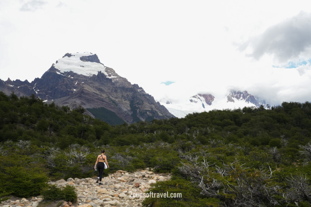 should i do laguna torre hike things to know guide el chalten half day hike