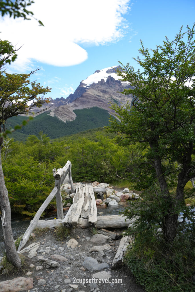 should i do laguna torre hike things to know guide el chalten half day hike