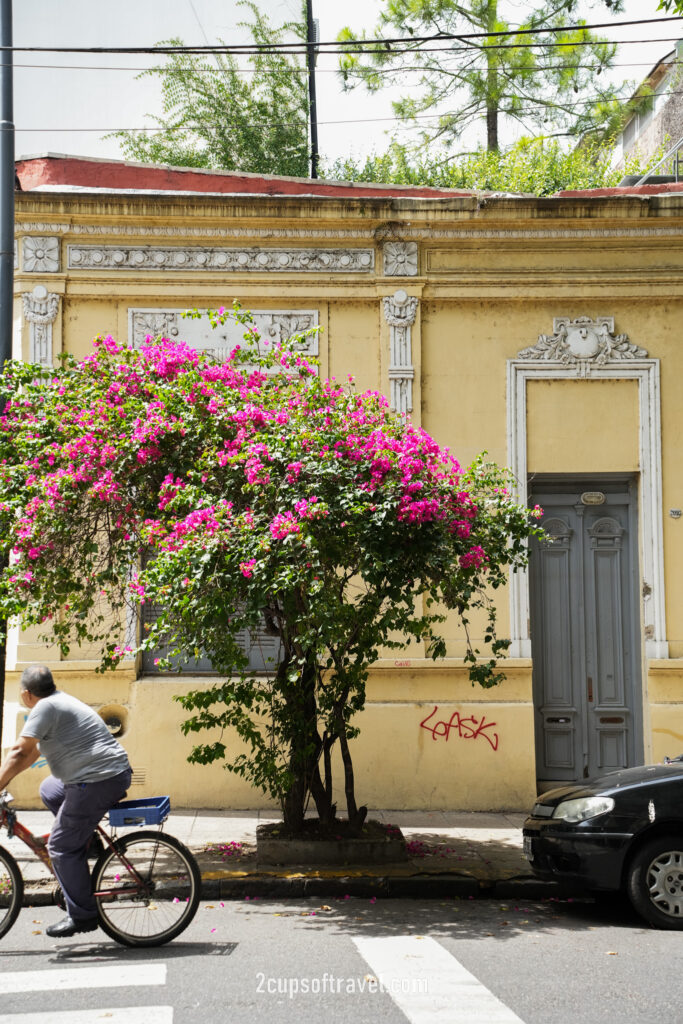 things to do guide to palermo buenos aires argentina coffee street art