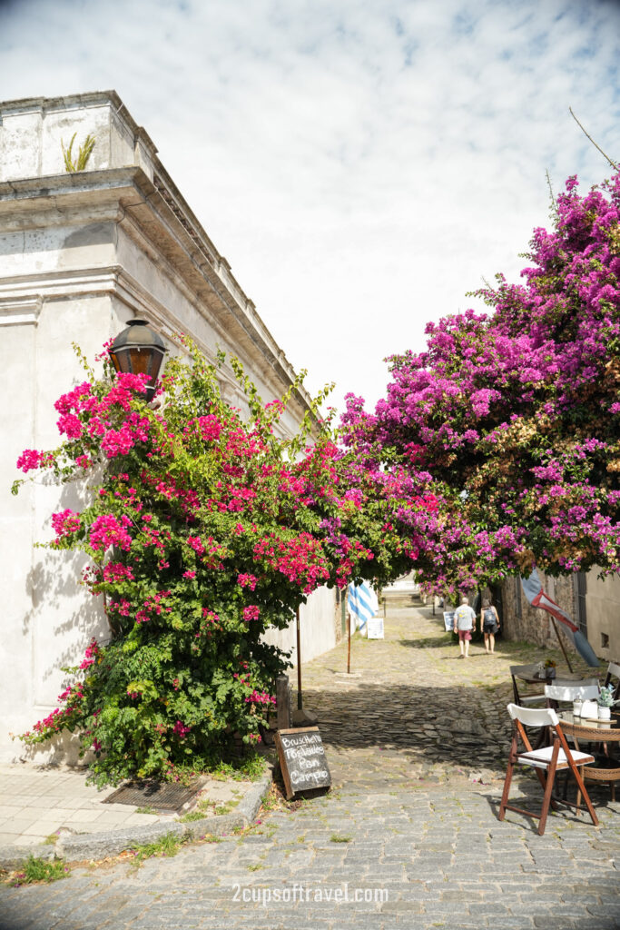 day trip to colonia del sacramento from buenos aires things to do