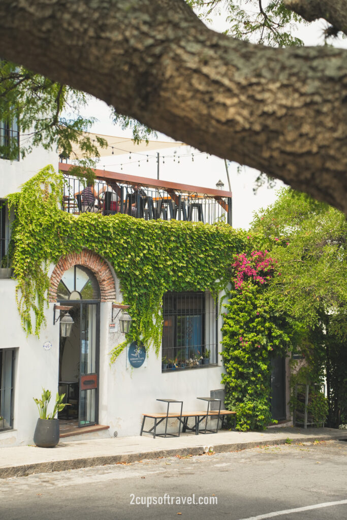 best cafes uruguay colonia del sacramento day trip serrano cafe