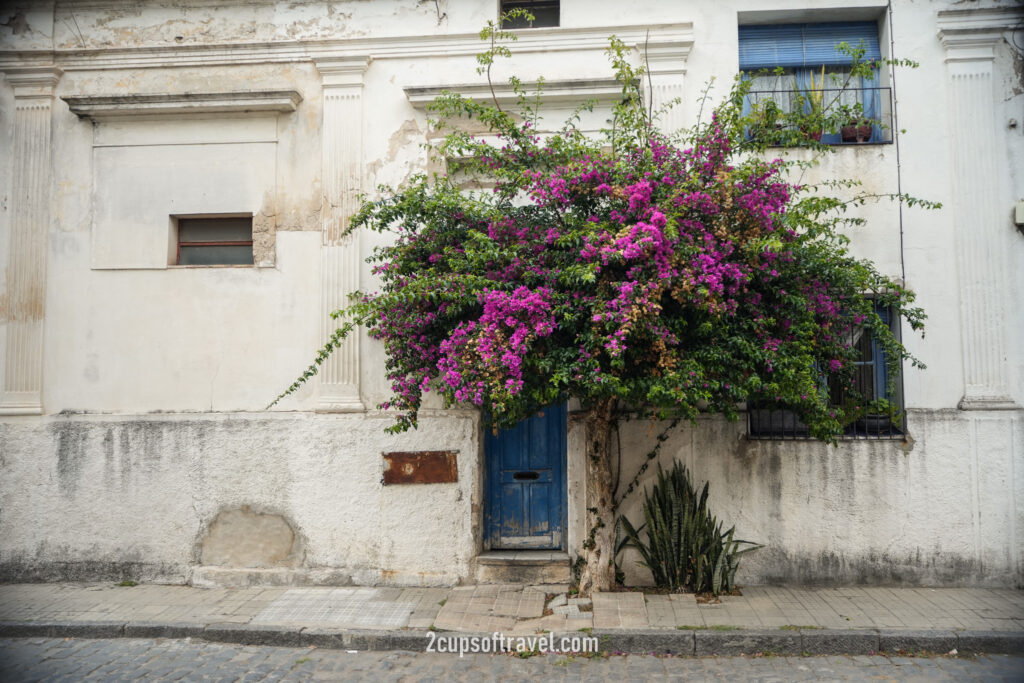 should i visit colonia del secramento uruguay for a day trip from buenos aires argentina