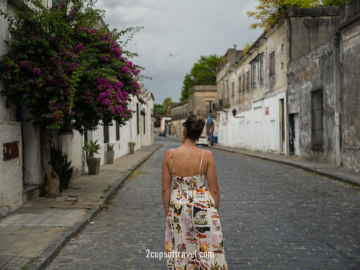 should i visit colonia del secramento for a day trip from buenos aires