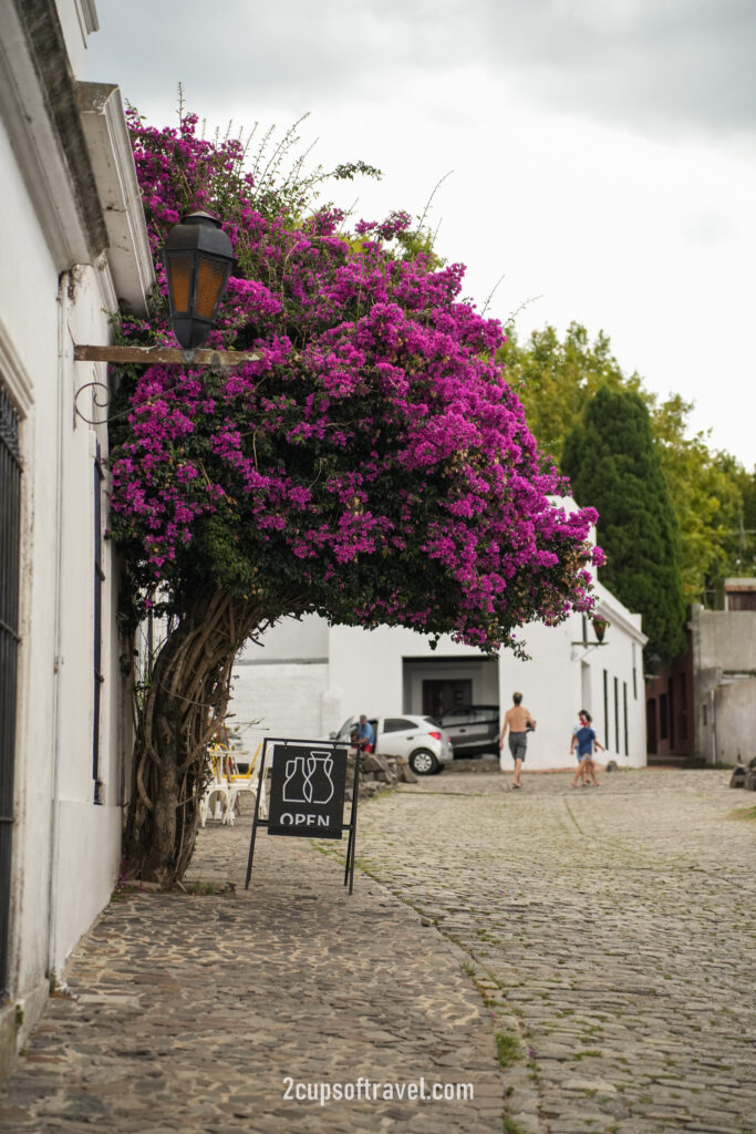 day trip to colonia del sacramento from buenos aires things to do