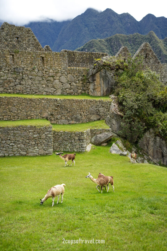 day trip to sacred valley cusco peru machu picchu maras moray pisac pisaq