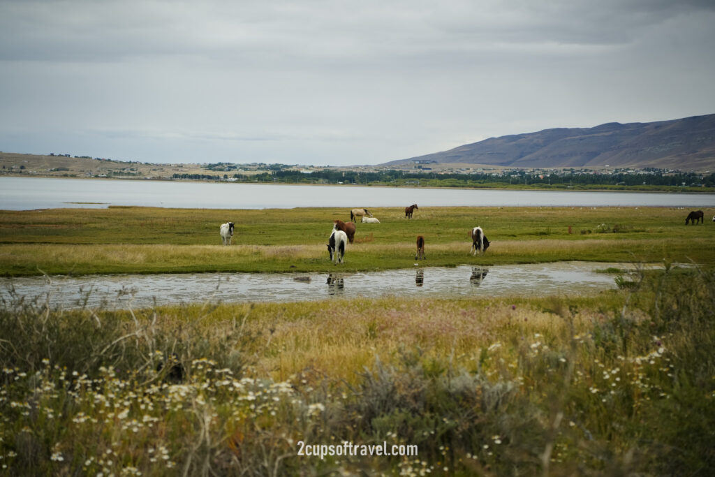 Walk, run or cycle around Lago Argentino el calafate patagonia