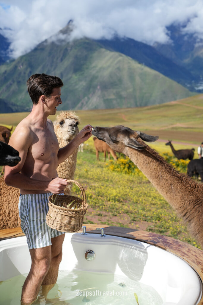 mountain view experience peru sacred valley bucket list do not miss airbnb feed llamas in hot tub