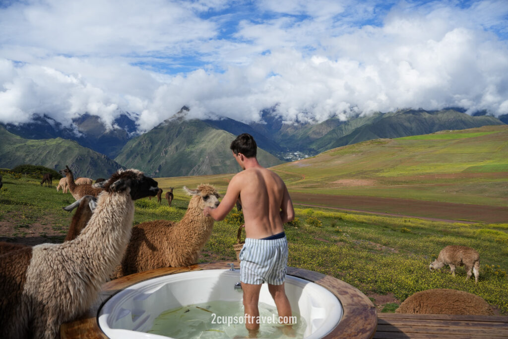 mountain view experience peru sacred valley bucket list do not miss airbnb feed llamas in hot tub