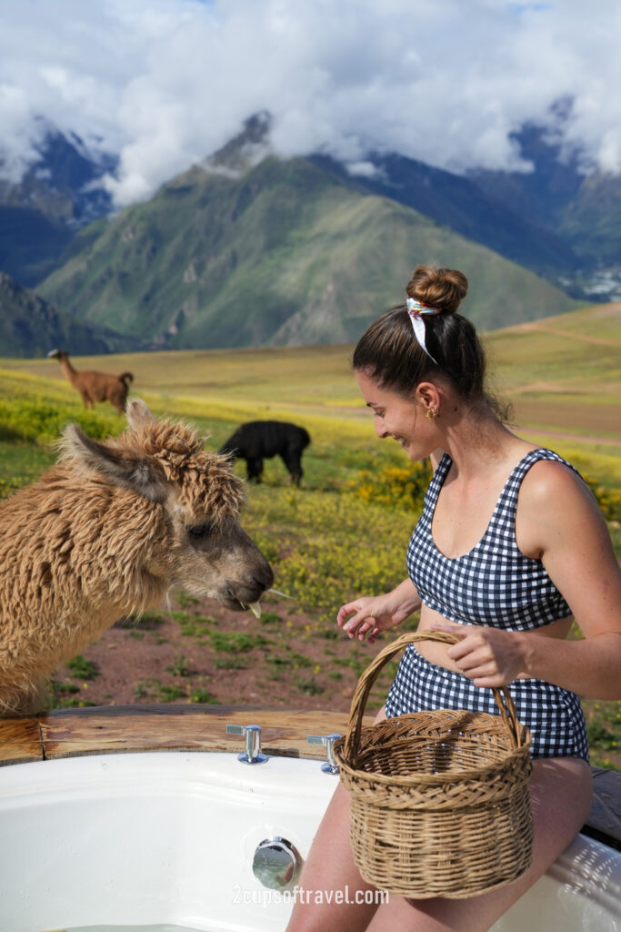 mountain view experience peru sacred valley bucket list do not miss airbnb feed llamas in hot tub