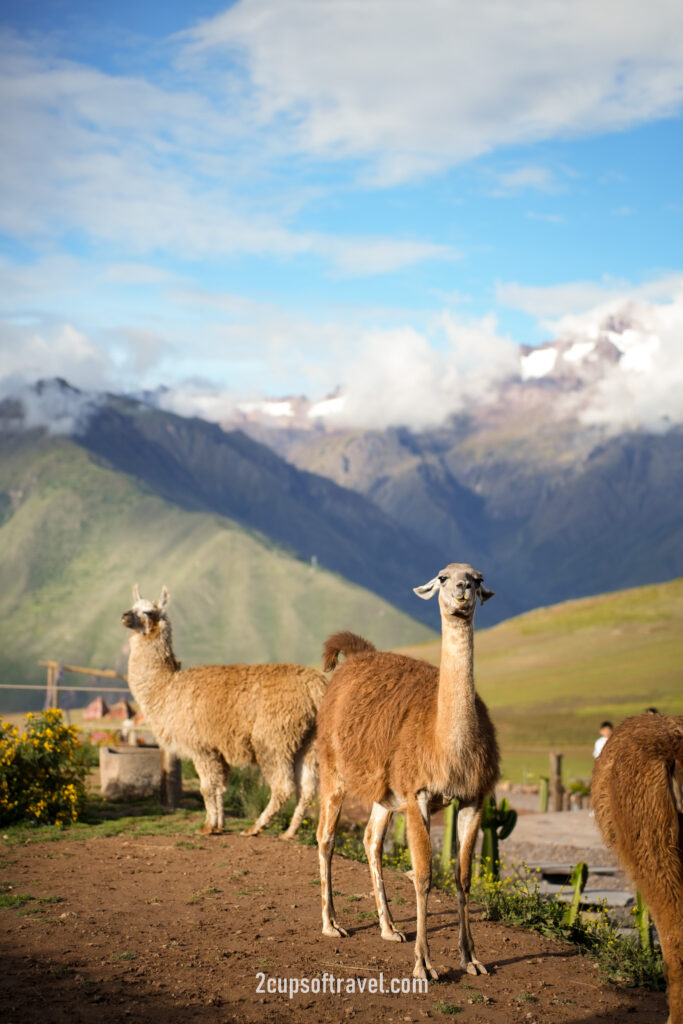 mountain view experience peru sacred valley bucket list do not miss airbnb