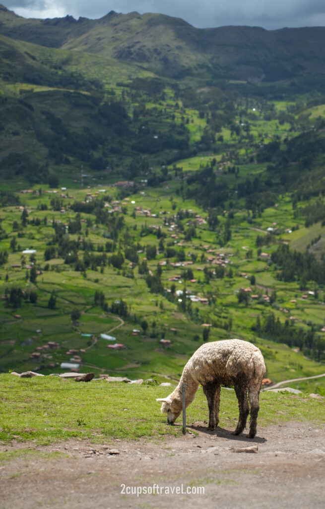 day trip to sacred valley cusco peru machu picchu maras moray pisac pisaq