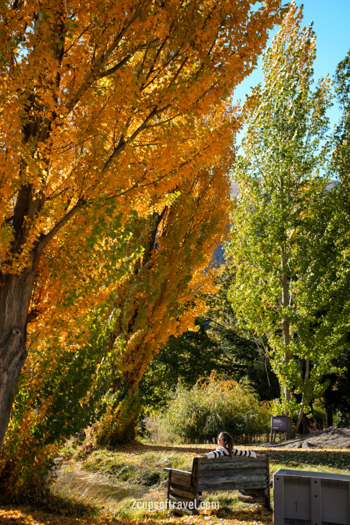 kinross winery should i visit wanaka queenstown road trip itinerary guide