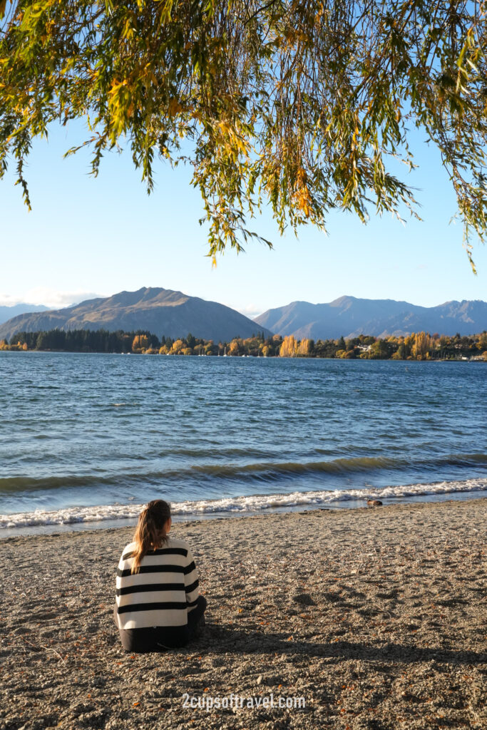 that wanaka tree guide itinerary things to do sunset