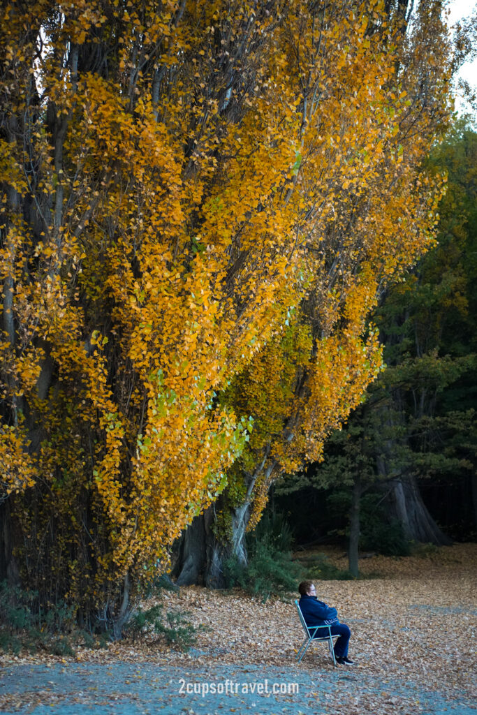wanaka lake things to do guide autumn