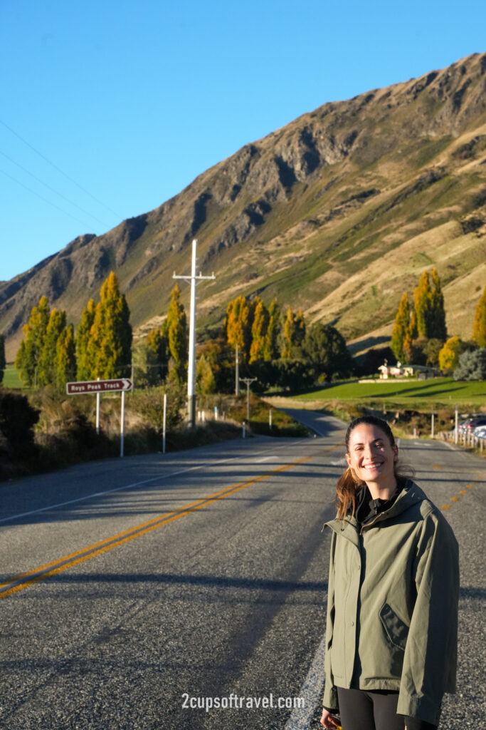 things to know before hiking roys peak wanaka queenstown day trip guide hike new zealand