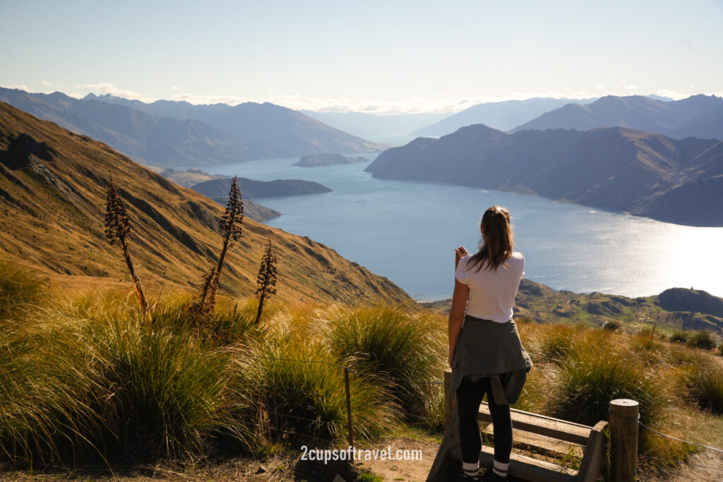things to know before hiking roys peak wanaka queenstown day trip guide hike new zealand