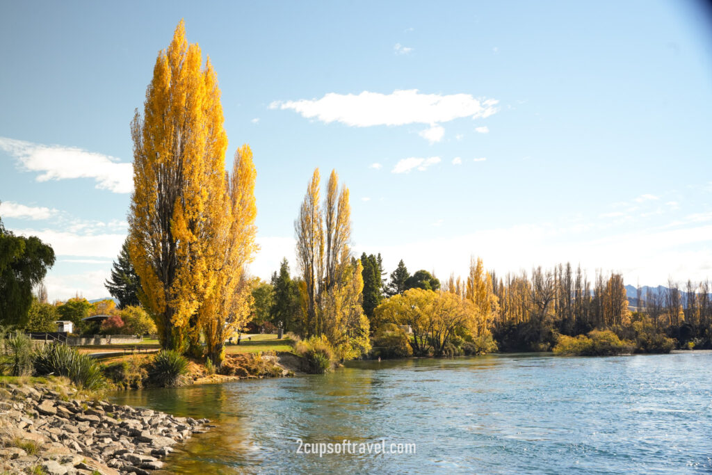 Lake Wanaka Outlet Track (Albert Town End) day trip wanaka road trip itinerary autumn