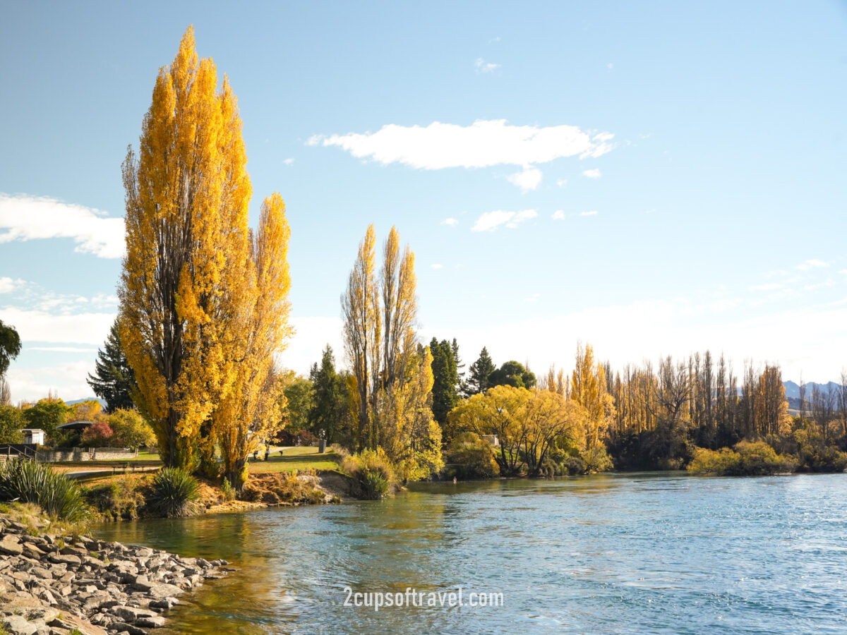 Lake Wanaka Outlet Track (Albert Town End) day trip wanaka road trip itinerary autumn