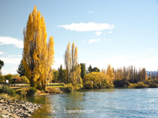 Lake Wanaka Outlet Track (Albert Town End) day trip wanaka road trip itinerary autumn