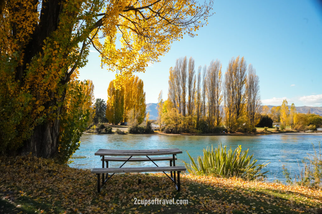 Lake Wanaka Outlet Track (Albert Town End) day trip wanaka road trip itinerary autumn