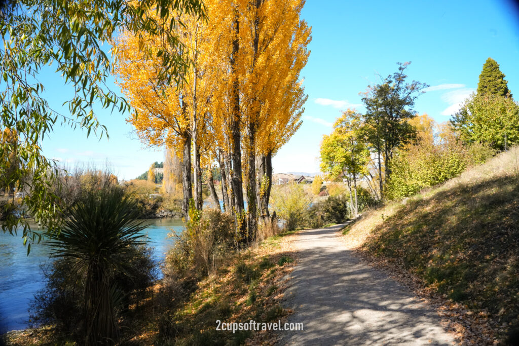 wanaka road trip Albert Town day trip itinerary autumn Lake Wanaka Outlet Track