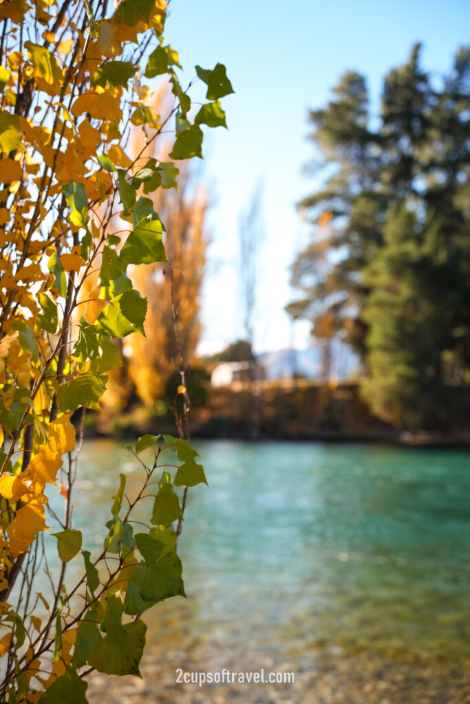 wanaka road trip Albert Town day trip itinerary autumn Lake Wanaka Outlet Track