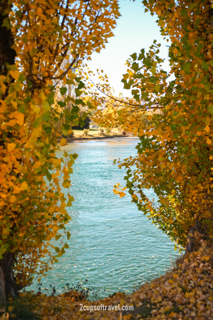 Lake Wanaka Outlet Track (Albert Town End) day trip wanaka road trip itinerary autumn