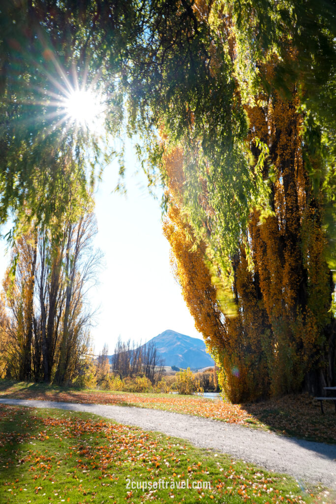 wanaka road trip Albert Town day trip itinerary autumn Lake Wanaka Outlet Track