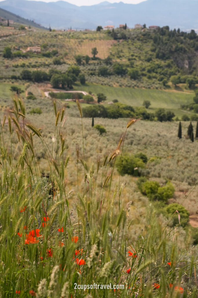 should i visit umbria road trip 1 week itinerary things to know guide assisi