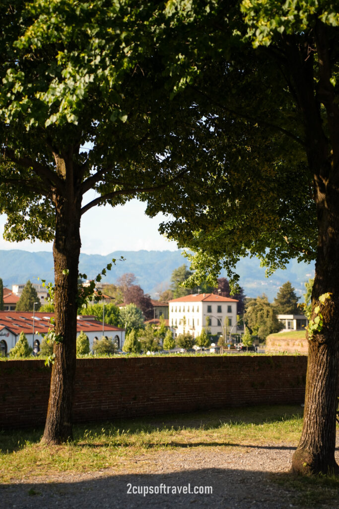 road trip tuscany lucca florence where to visit itinerary