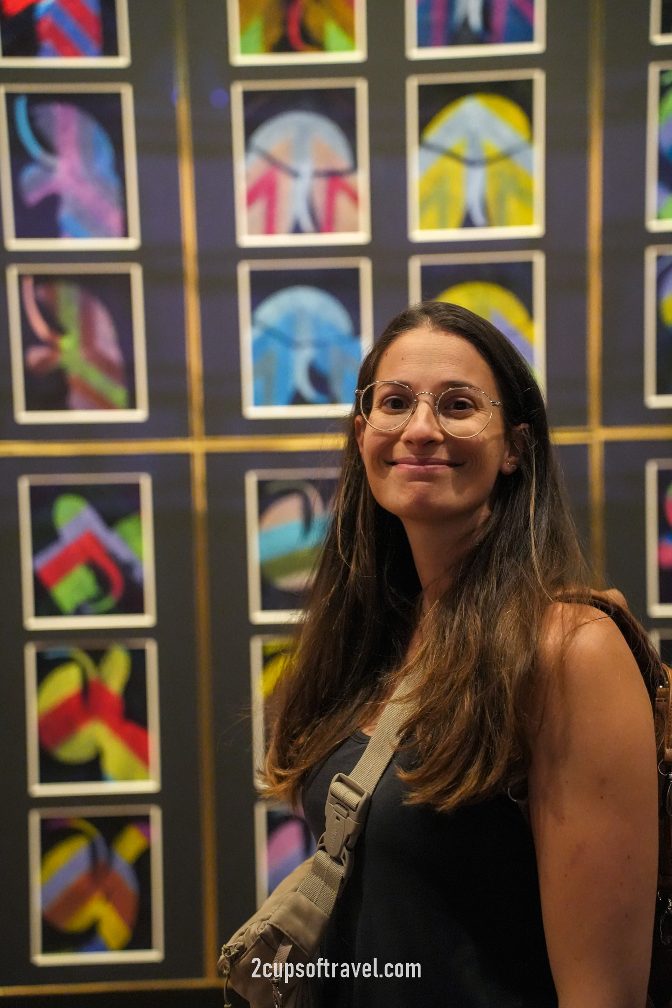 should i visit Mona Museum of Old and New Art Hobart, Tasmania