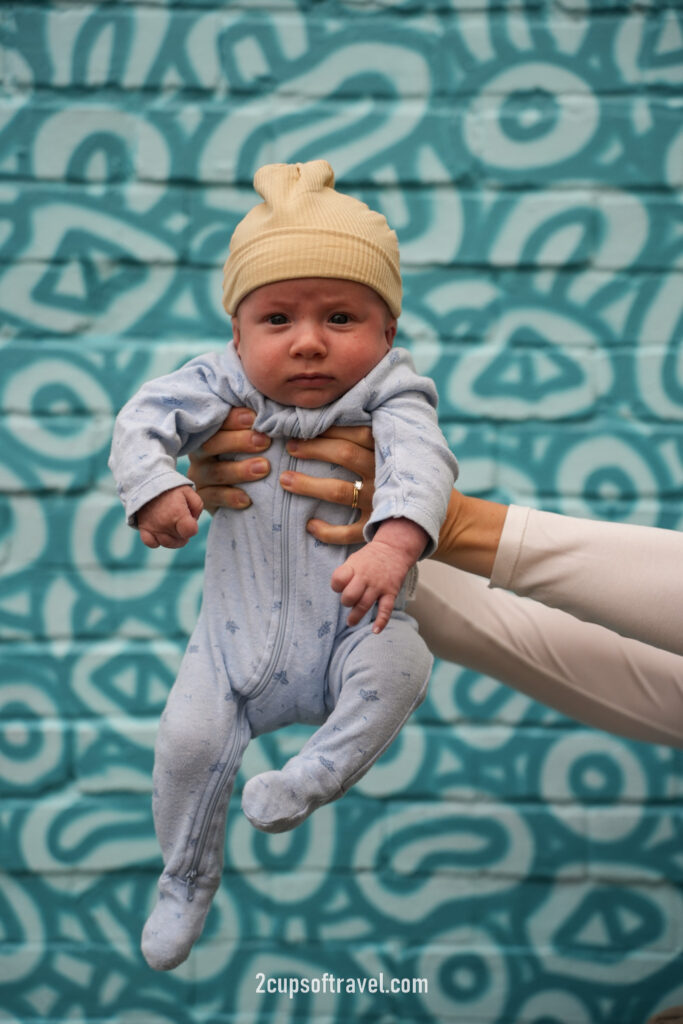 things to do in hobart guide tasmania road trip mona