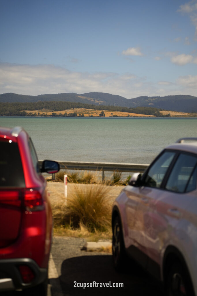 travel day things to consider tassie 