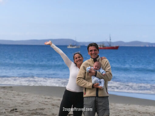 bruny island road trip from hobart things to do guide