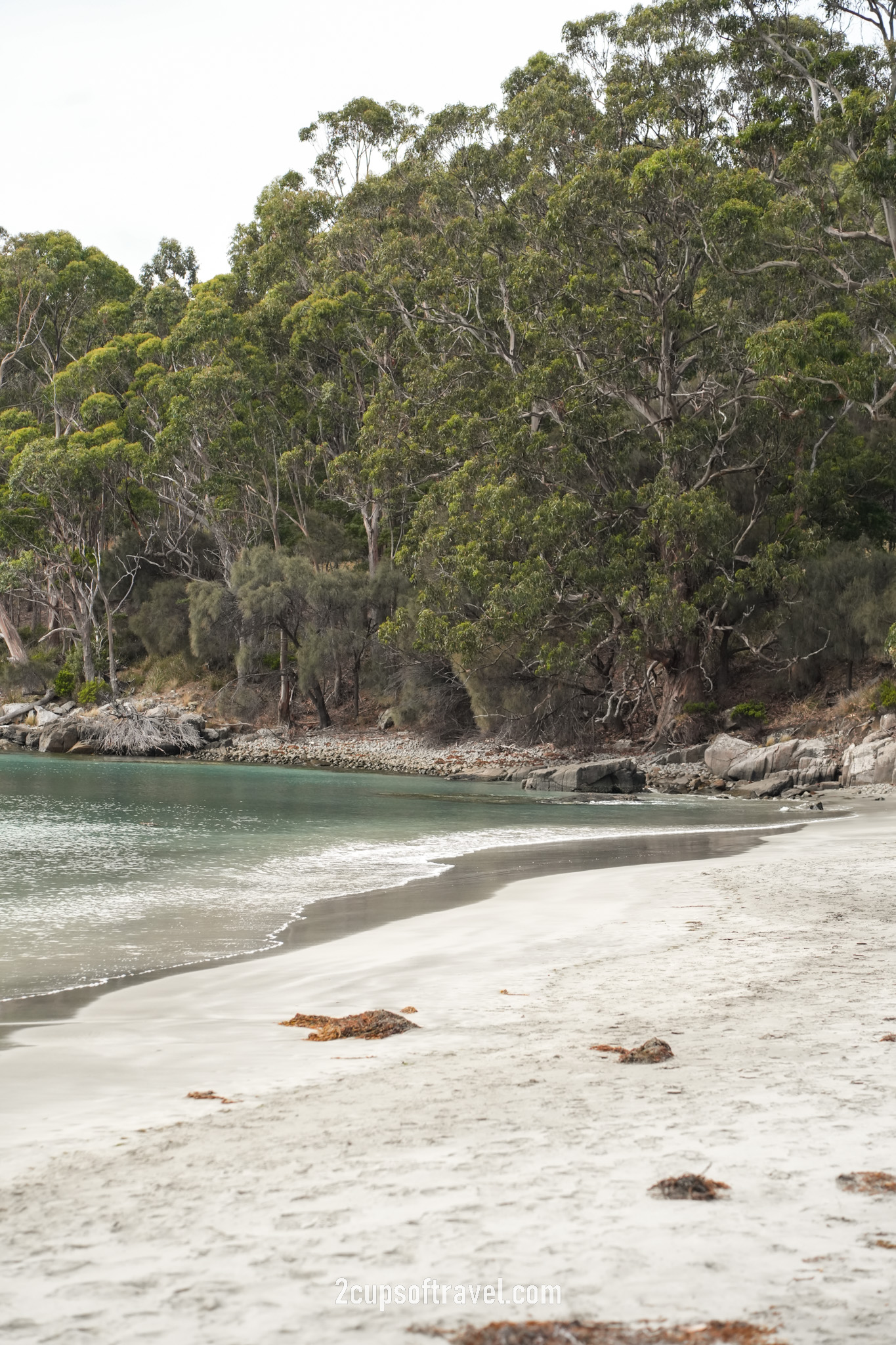 Fluted Cape Walk trail bruny island things to do guide