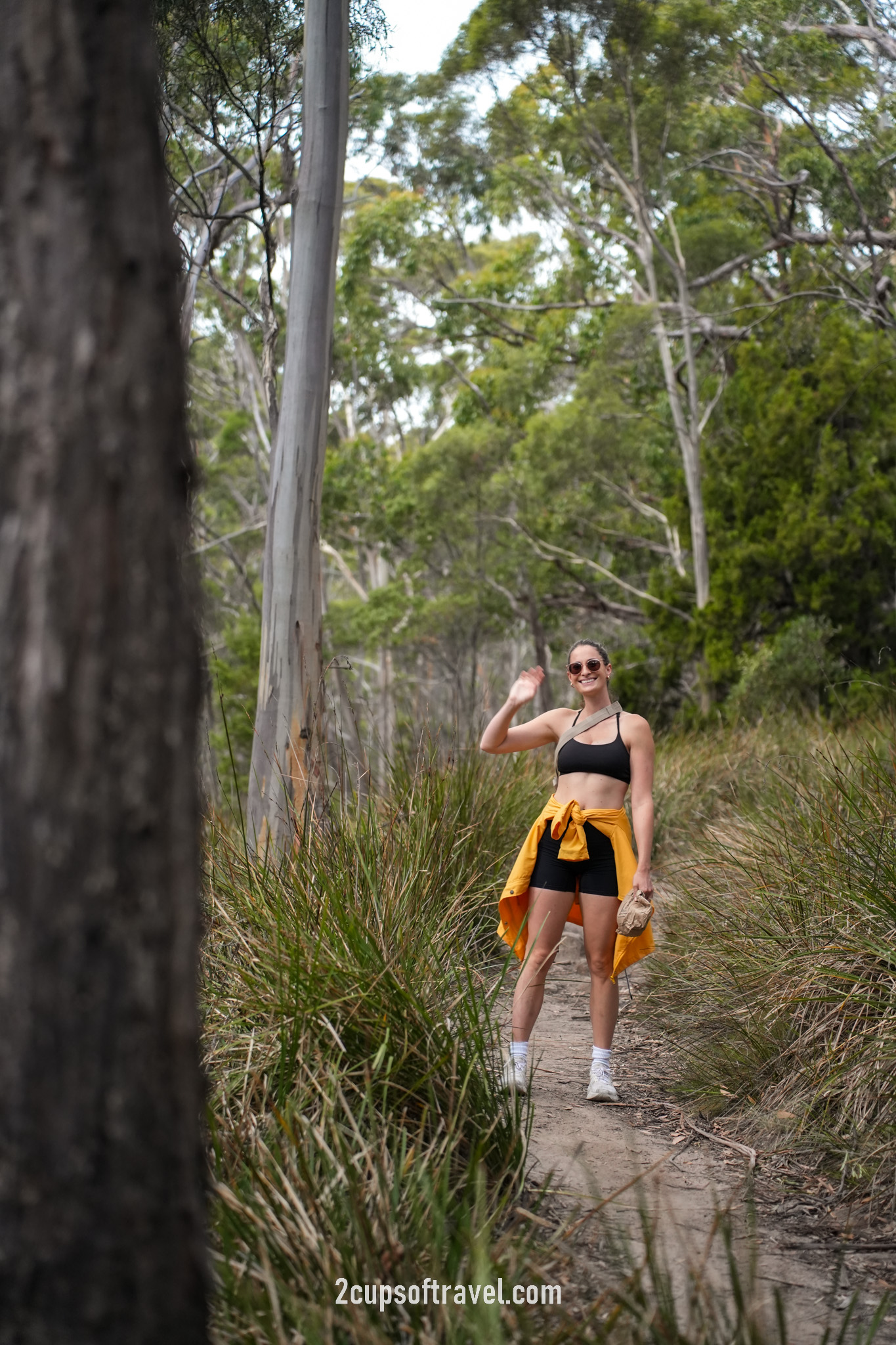 Fluted Cape Walk trail bruny island things to do guide