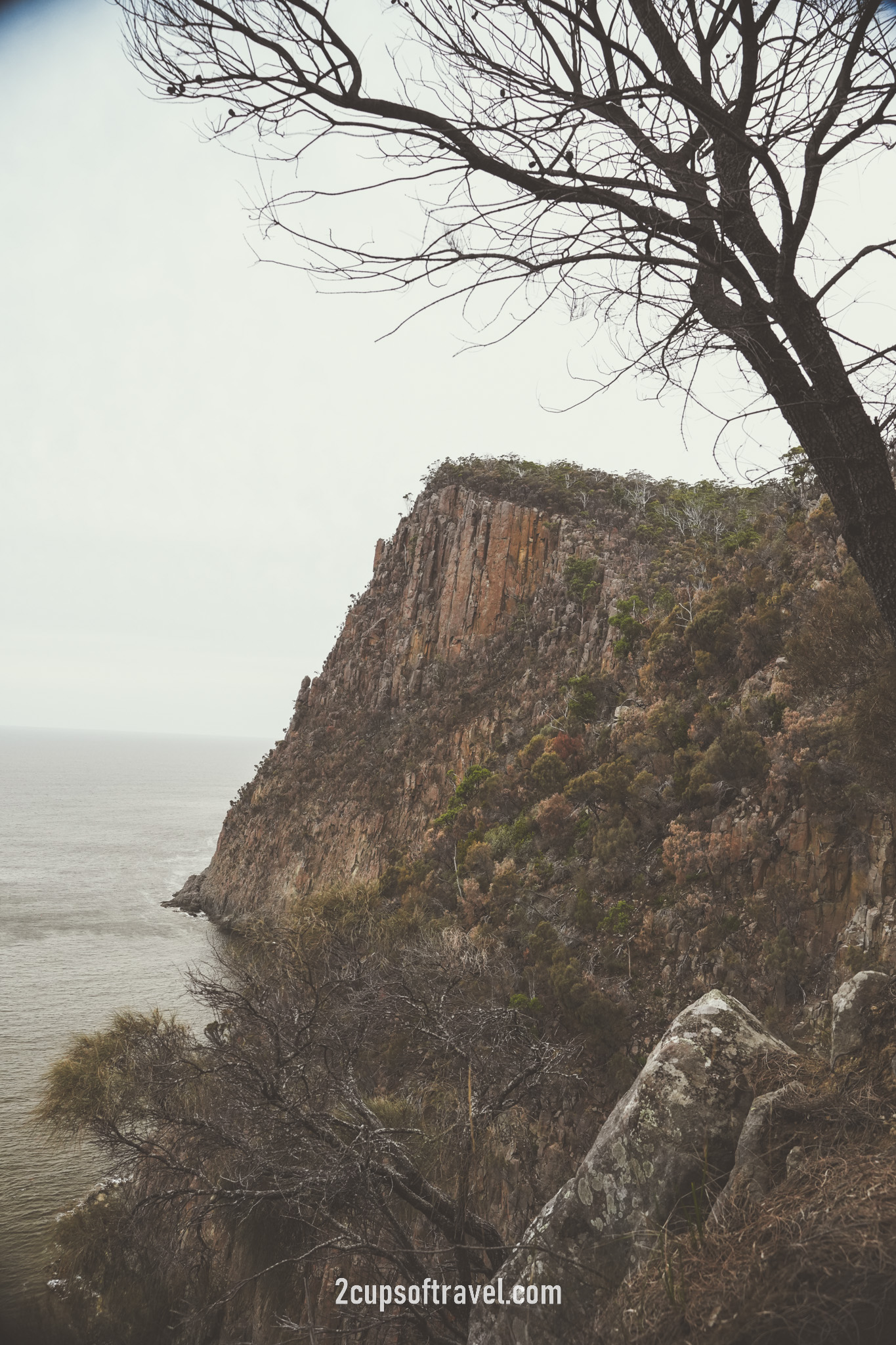 Fluted Cape Walk trail bruny island things to do guide
