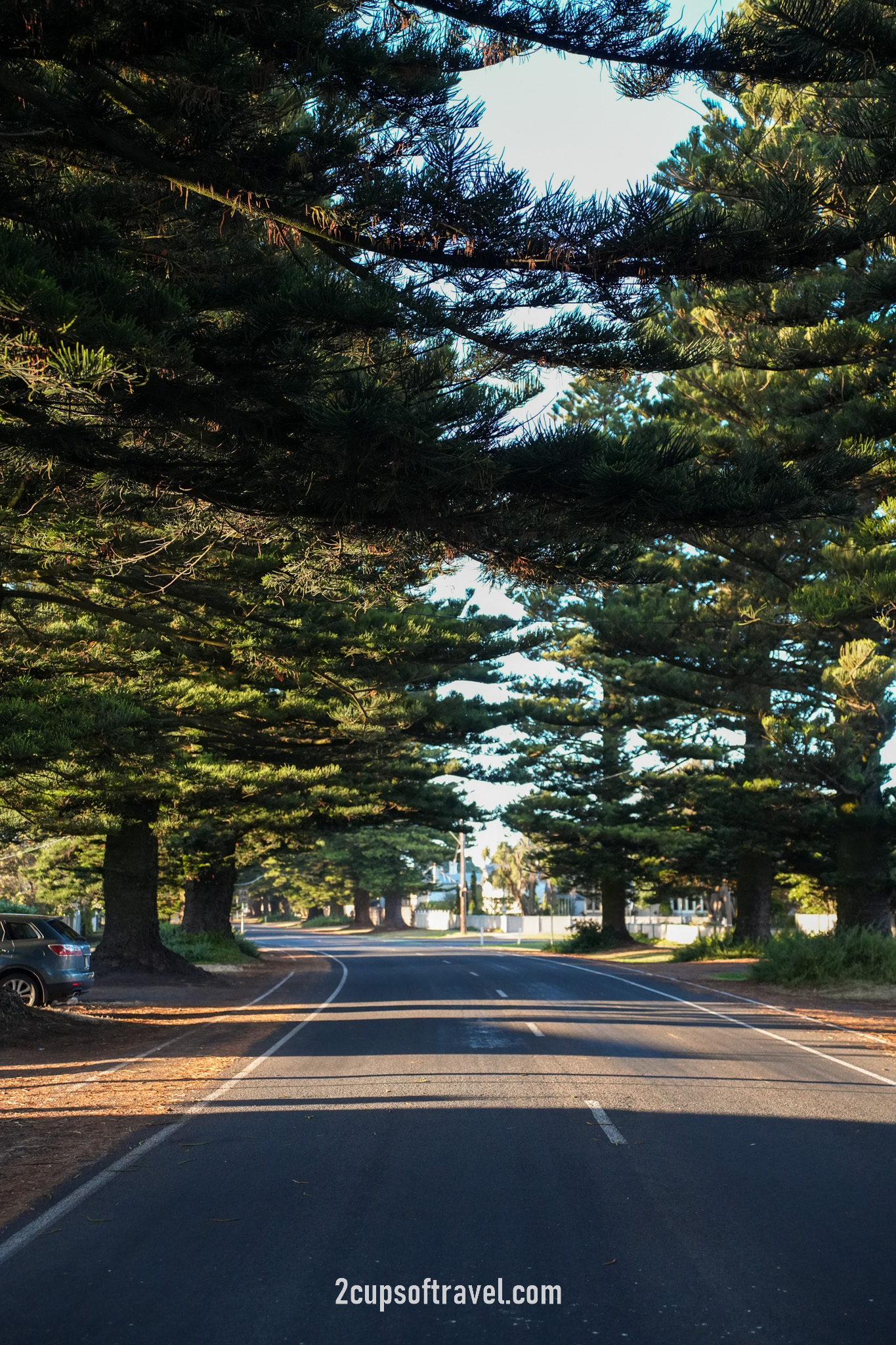 things to do port fairy walk cafe shops day trip