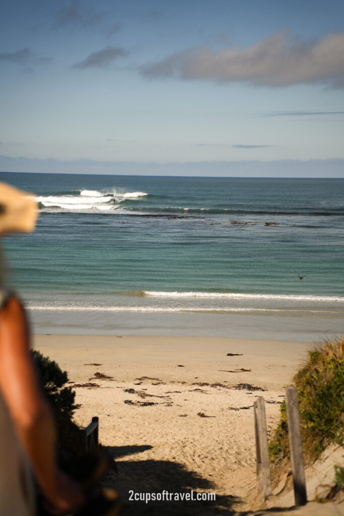 Southcombe Beach best beaches in port fairy great ocean road things to do