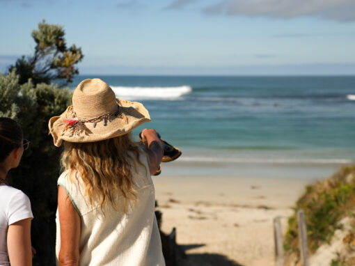 things to do port fairy road trip