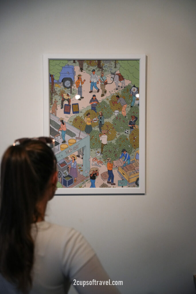 a day in christchurch new zealand should i visit ozone coffee