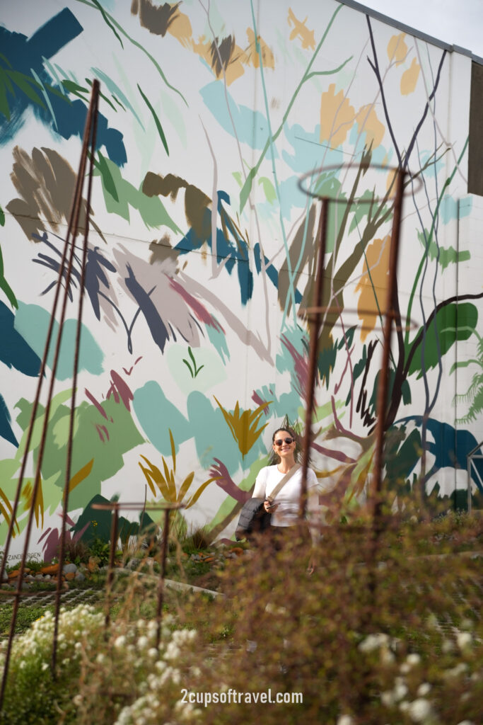 a day in christchurch new zealand should i visit