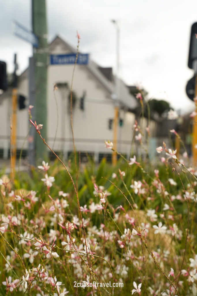 a day in christchurch new zealand should i visit