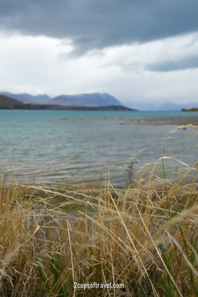 Things to do near Lake Tekapo new zealand road trip
