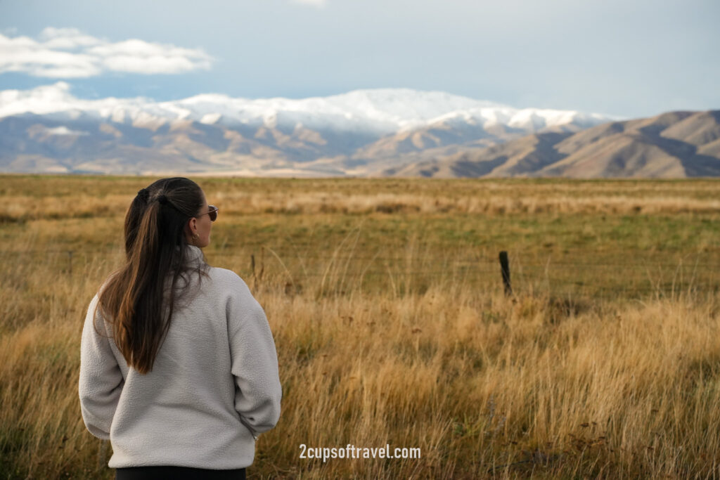 Things to do near Lake Tekapo new zealand road trip