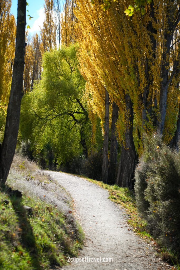 albert town wanaka day trip pembroke patisserie things to do queenstown road trip