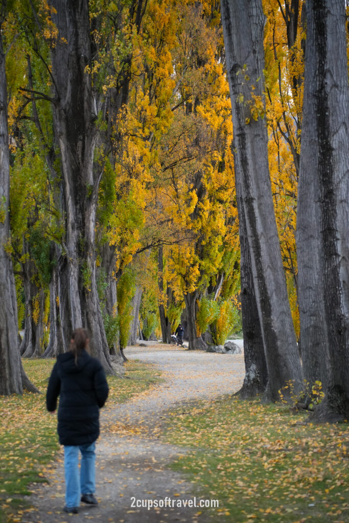 wanaka queenstown guide things to do road trip